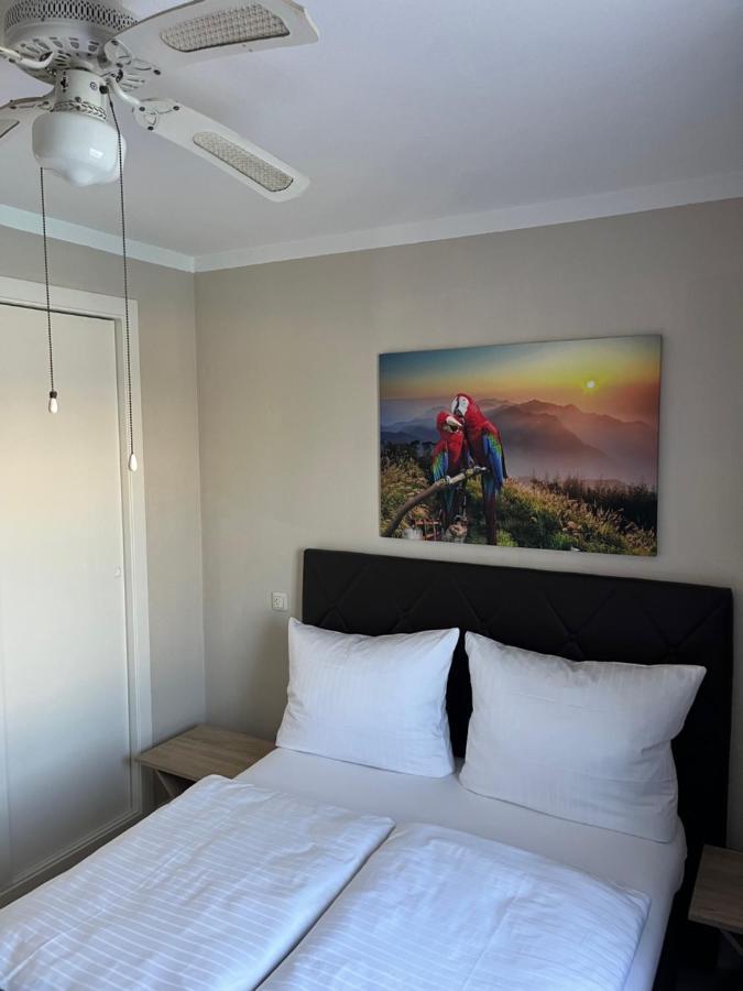 Appartement Villa-Celine Torrevieja Exterior photo